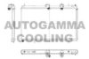 CITRO 133369 Radiator, engine cooling
